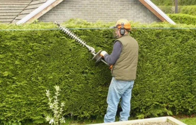 How Does Expert Trimming Prevent Hedge Overgrowth?