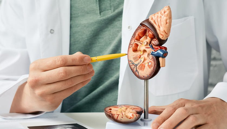 Modern Kidney Stone Treatments in Dubai: Minimally Invasive Options Explained