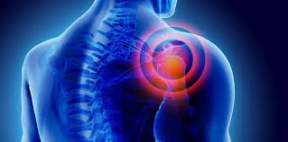 Can a Shoulder Pain Chiropractor Denver Really Help You Heal?