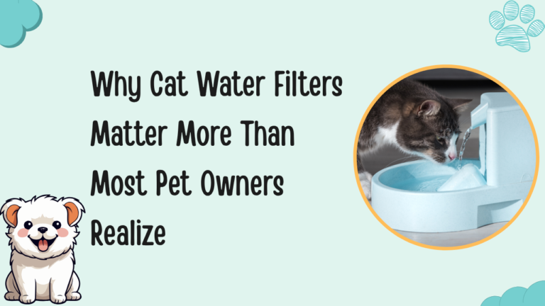 Cat Water Filters
