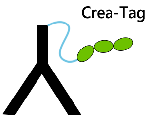 From Singleplex to Multiplex: The Evolution of Biomarker Analysis in Precision Medicine
