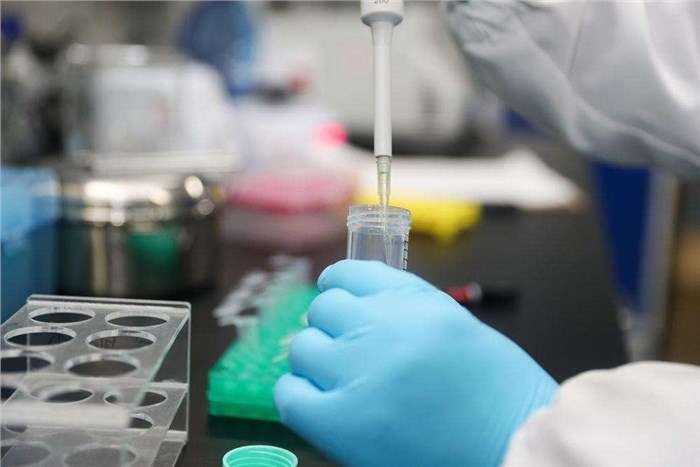 Optimizing Therapeutic Antibodies: Strategies for ADCC and CDC Enhancement