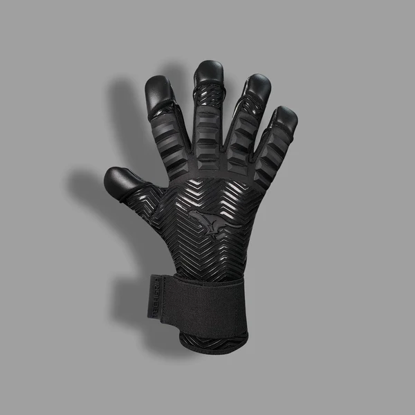 Best Goalkeeper Gloves